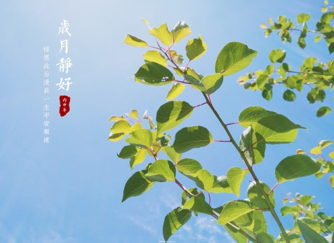 愿歲月靜好，山河無恙